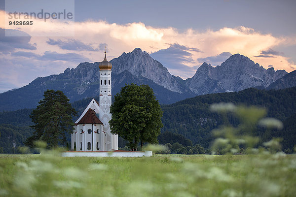 Die Kirche St. Coloman bei Füssen im Allgäu  Bayern  Deutschland  Europa  ÖffentlicherGrund