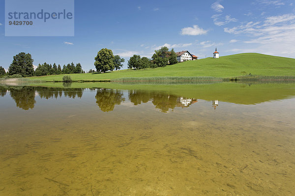 Bauernhof mit Hofkapelle am Hegratsrieder See im Allgäu  Bayern  Deutschland  Europa  ÖffentlicherGrund