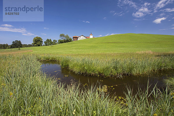 Bauernhof mit Hofkapelle am Hegratsrieder See im Allgäu  Bayern  Deutschland  Europa  ÖffentlicherGrund