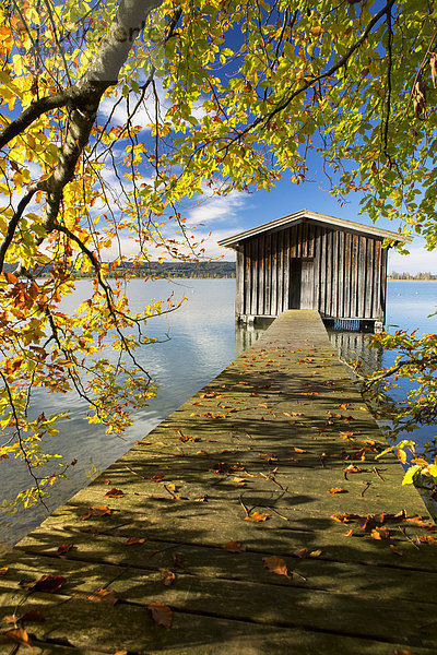 Fischerhütte im Herbst am Kochelsee  Bayern  Deutschland  Europa  ÖffentlicherGrund