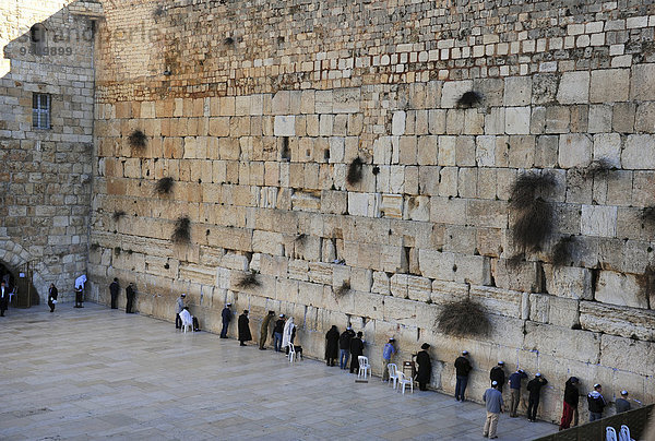 Die Klagemauer in der Altstadt  Jerusalem  Israel