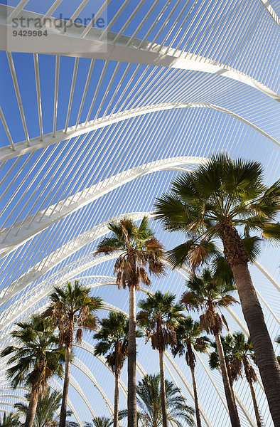 Palmengarten L'Umbracle  Ciudad de las Artes y las Ciencias  Stadt der Künste und der Wissenschaften  Valencia  Spanien