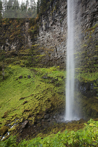 Wasserfall Watson Falls in den Südkaskaden  Kaskadengebirge  Roseburg  Oregon  USA