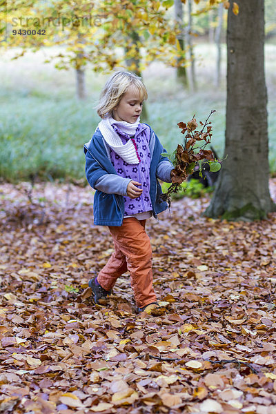 Mädchen im Wald  Kiel  Schleswig-Holstein  Deutschland  Europa