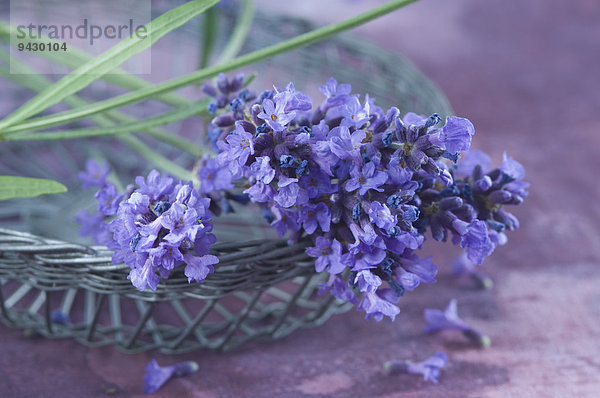 Lavendelblüten in einem Drahtkorb