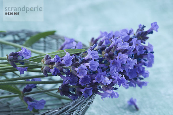 Lavendelblüten in einem Drahtkorb