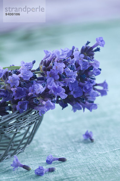 Lavendelblüten in einem Drahtkorb