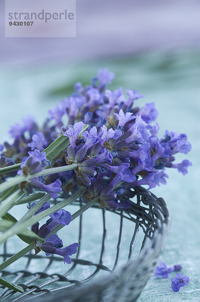 Lavendelblüten in einem Drahtkorb