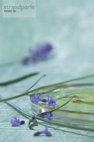 Lavendelblüten und Lavendelöl in einer Glasschale