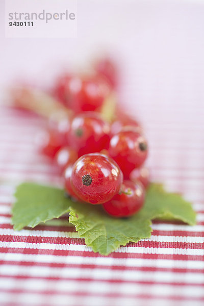 Rote Johannisbeeren