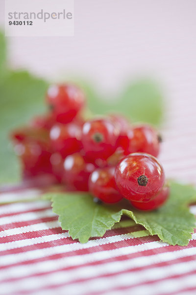 Rote Johannisbeeren