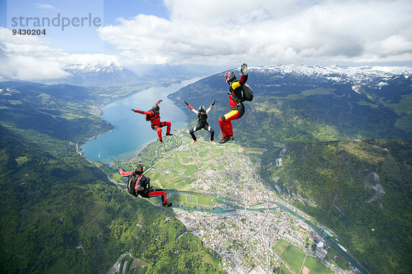 Fallschirmspringer in Freifall  Interlaken  Kanton Bern  Schweiz  Europa