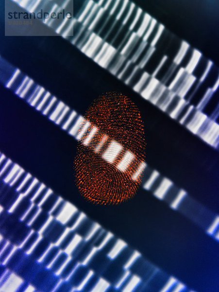 Menschlicher Fingerabdruck auf DNA-Gel zur Veranschaulichung der Gentechnik