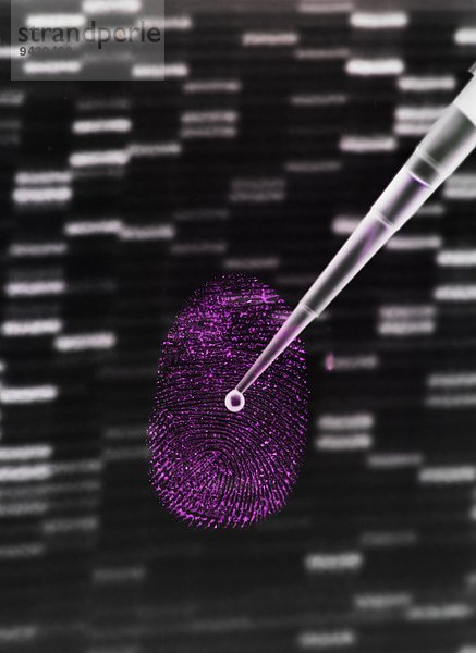 DNA-Probe wird auf menschlichen Fingerabdruck und DNA-Gel pipettiert  um die Gentechnik zu veranschaulichen.