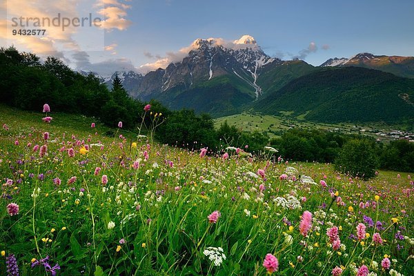 Wiese mit Wildblumen  Dorf Mazeri  Svaneti  Georgien