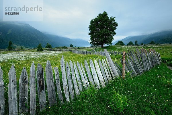 Zaun im nebligen Tal  Mazeri Dorf  Svaneti  Georgien