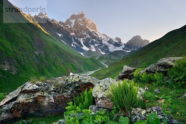 Tal und Ushba Berggipfel  Svaneti  Georgien