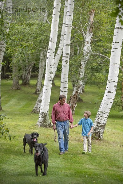 Vater und Sohn gehen mit zwei Hunden aus.