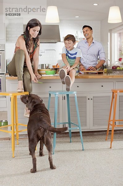Frau sitzt auf der Küchentheke und füttert Hund