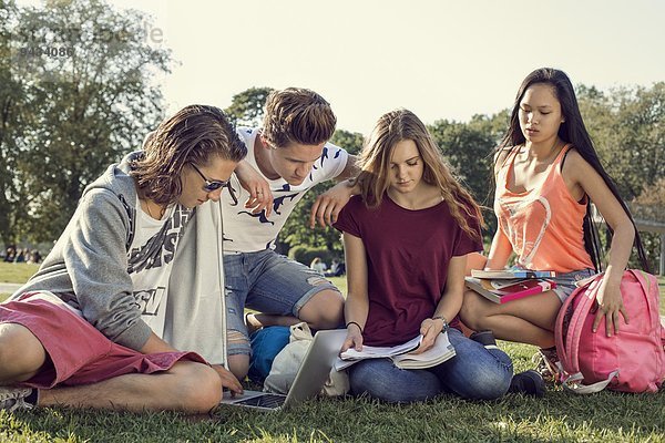 Gruppe von Freunden  die auf dem Schulhof studieren