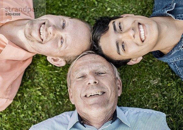 Nahaufnahme von glücklichen Drei-Generationen-Rüden auf Gras liegend
