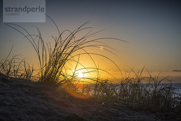 Sonnenuntergang am Strand  Sylt  Schleswig-Holstein  Deutschland  Europa