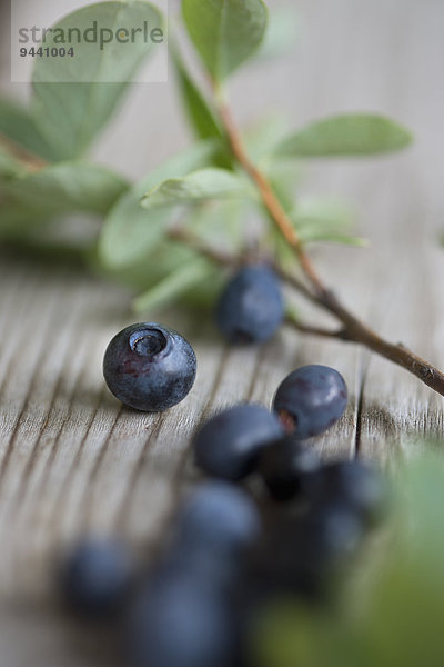 Frische Blaubeeren mit Laub