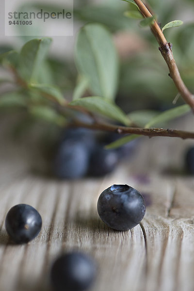 Frische Blaubeeren mit Laub