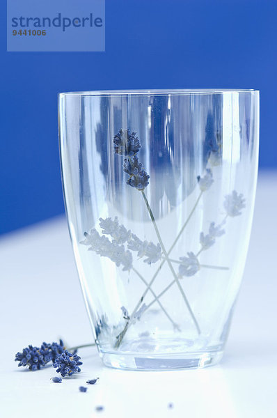 Lavendel im Glas