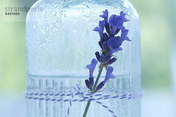 Lavendelblüte und Lavendelwasser in einer Glasflasche