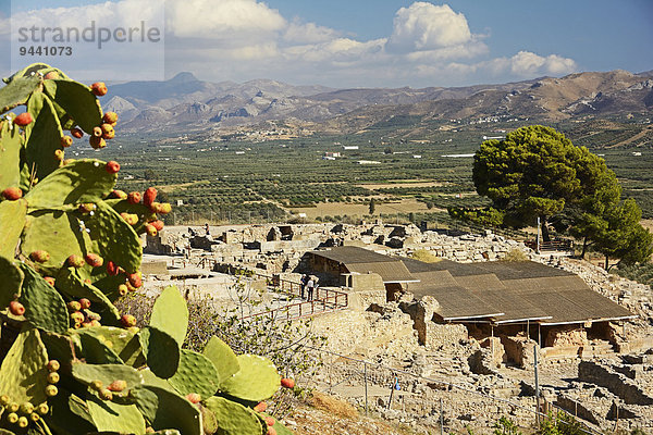 Ruinenstadt von Festos  Kreta  Griechenland