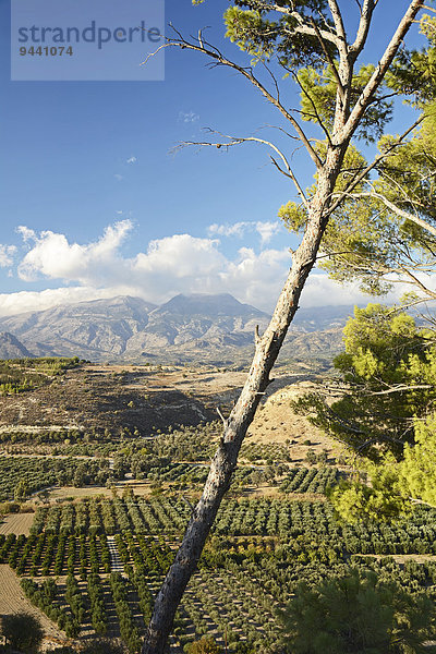 Landschaft mit Idagebirge  Kreta  Griechenland