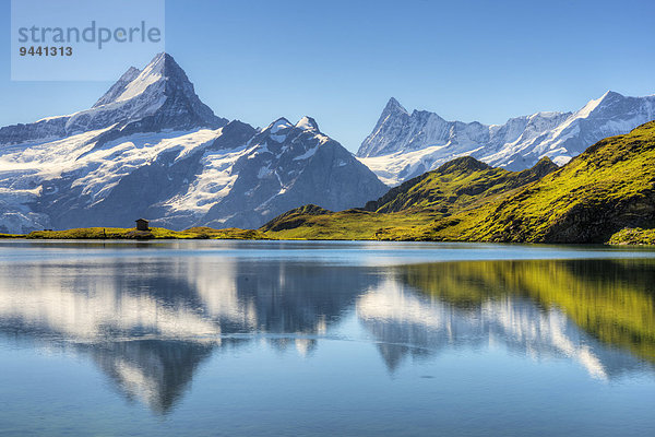 Bachalpsee mit Schreckhorn und Finsteraarhorn  Berner Alpen  Kanton Bern  Schweiz  Europa