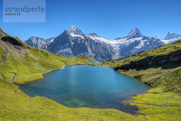 Bachalpsee with Schreckhorn  Finsteraarhorn und Wetterhorn  Bernese Alps  Canton Bern  Switzerland  Europe