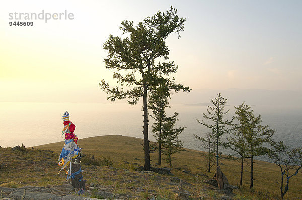 Der Baum der Wünsche  Insel Ogoy  Baikalsee  Sibirien  Russland  Europa