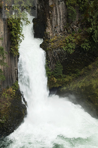 Wasserfall Toketee Falls  Roseburg  Oregon  Südkaskaden  Kaskadengebirge  USA  Nordamerika