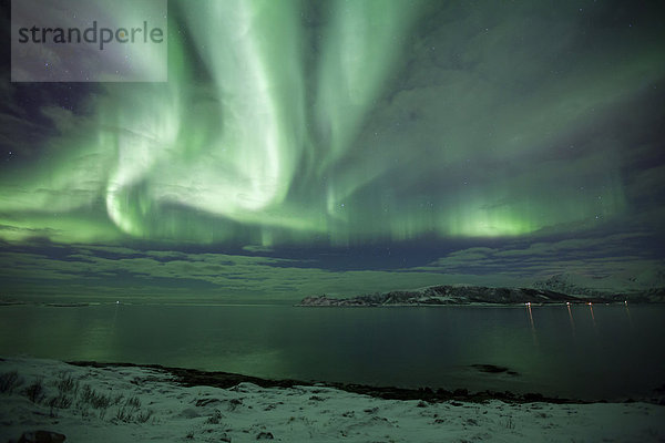 Nordlicht  bei Sommaroy  Kvaloya  Tromvik  Troms  Norwegen  Europa