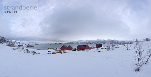 Ferienhäuser am Kvalsundet  Kvaloya  Troms  Norwegen  Europa