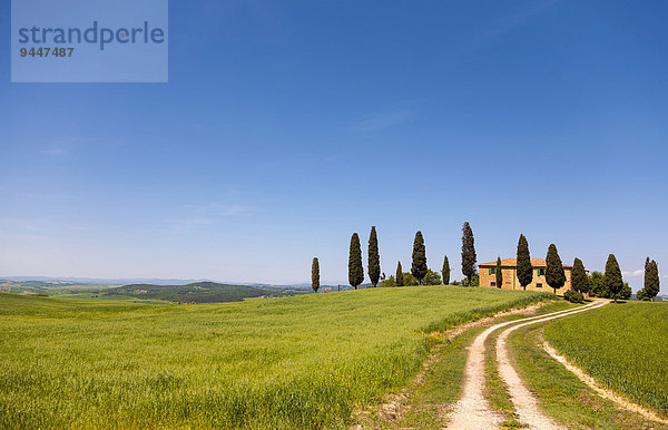 Landgut mit Zypressen  Val d'Orcia  bei Pienza  Provinz Siena  Toskana  Italien  Europa