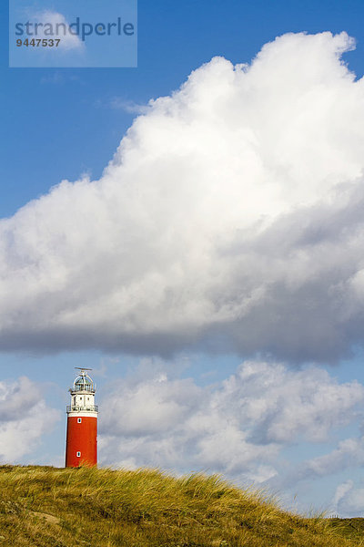 Leuchtturm Eierland mit Dünen  De Cocksdorp  Texel  Westfriesische Inseln  Provinz Nordholland  Holland  Niederlande  Europa