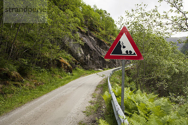 Steinschlag  Warnzeichen an schmaler Bergstraße  Hjølmo Tal  Norwegen  Europa
