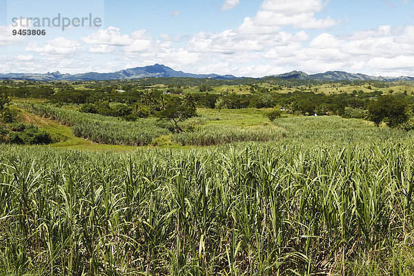 Zuckerrohrfelder  hinten die Nausori Highlands  Korovuto  Viti Levu  Fidschi  Ozeanien