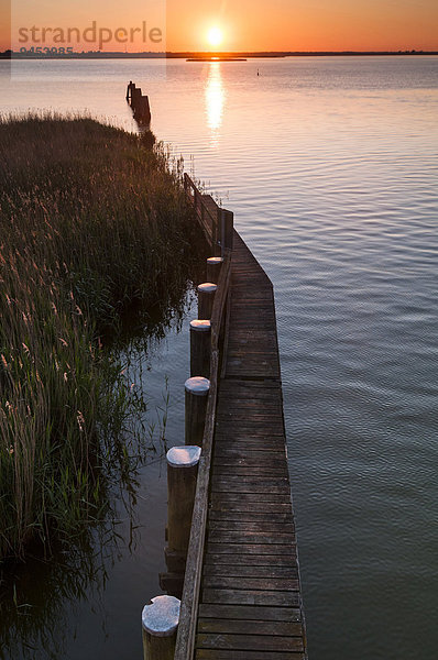 Bootssteg am Bodden  Sonnenuntergang  Ostsee  Zingst  Fischland-Darß-Zingst  Mecklenburg-Vorpommern  Deutschland  Europa