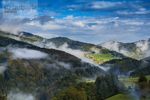 Morgenstimmung  Kleines Wiesental  Südschwarzwald  Schwarzwald  Baden-Württemberg  Deutschland  Europa