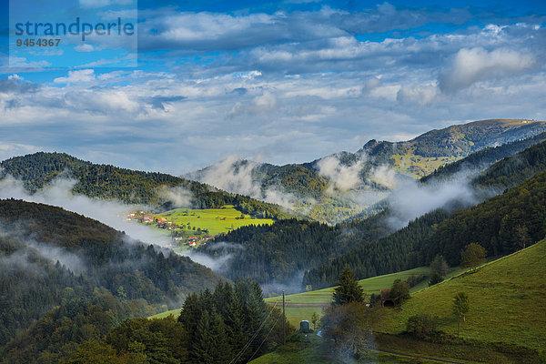 Morgenstimmung  Kleines Wiesental  Südschwarzwald  Schwarzwald  Baden-Württemberg  Deutschland  Europa