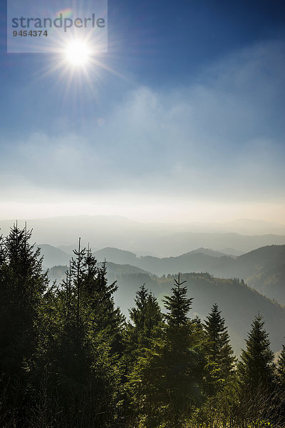 Am Schliffkopf  Naturpark Schwarzwald Mitte/Nord  Schwarzwald  Baden-Württemberg  Deutschland  Europa