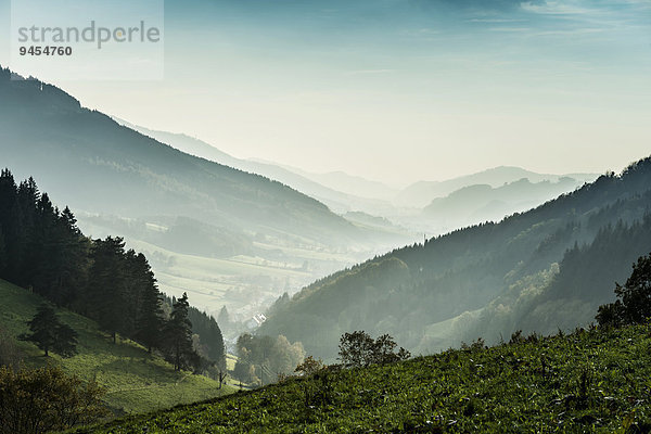 Elztal  Schwarzwald  Baden-Württemberg  Deutschland  Europa