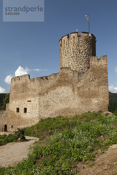 Burgruine Sentier du Château  Kaysersberg  Elsass  Frankreich  Europa