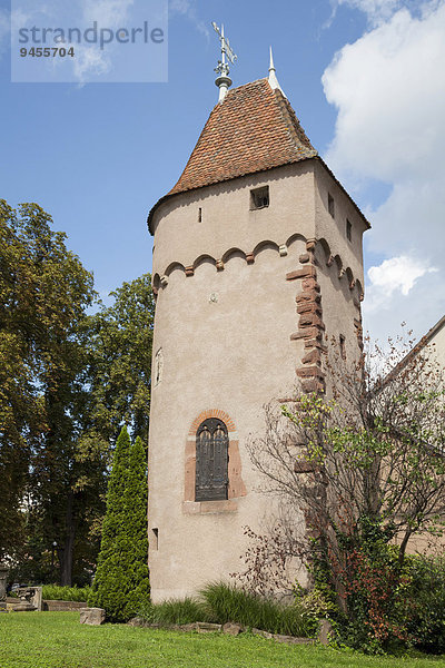 Monument Gyss  Obernai  Elsaß  Frankreich  Europa