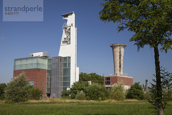 Fördergerüst  Consol-Park  ehemalige Zeche Consolidation  Gelsenkirchen  Ruhrgebiet  Nordrhein-Westfalen  Deutschland  Europa